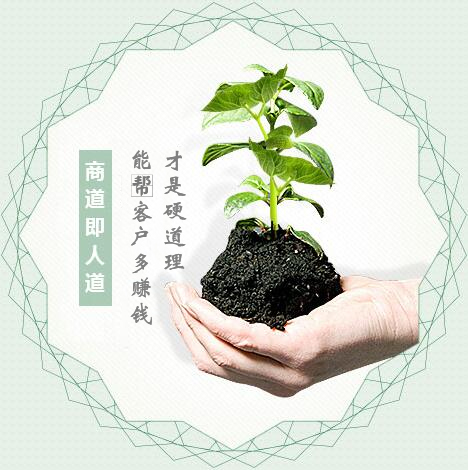 蔬菜種子經(jīng)營(yíng)，商道即人道