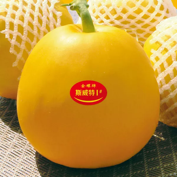 薄皮甜瓜，哪個(gè)品種最好呢？畝產(chǎn)高達(dá)10萬，附4種市場爆款品種