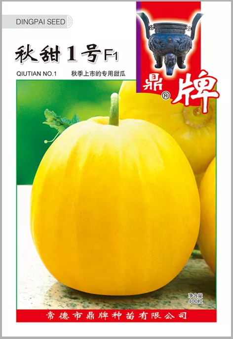 高溫季節(jié)種植甜瓜，什么品種最好？這個(gè)品種是秋季上市的專用品種