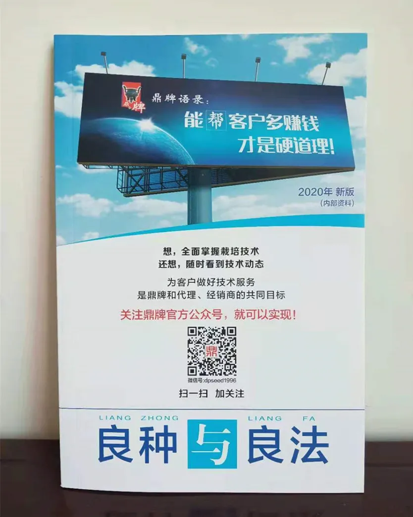 河南焦作的李向林今年種植甜瓜新品種，客戶直接拉貨走人