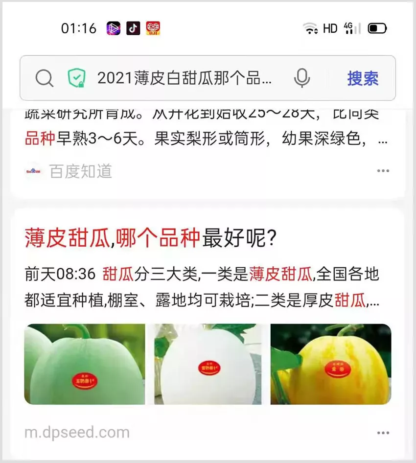 河南焦作的李向林今年種植甜瓜新品種，客戶直接拉貨走人