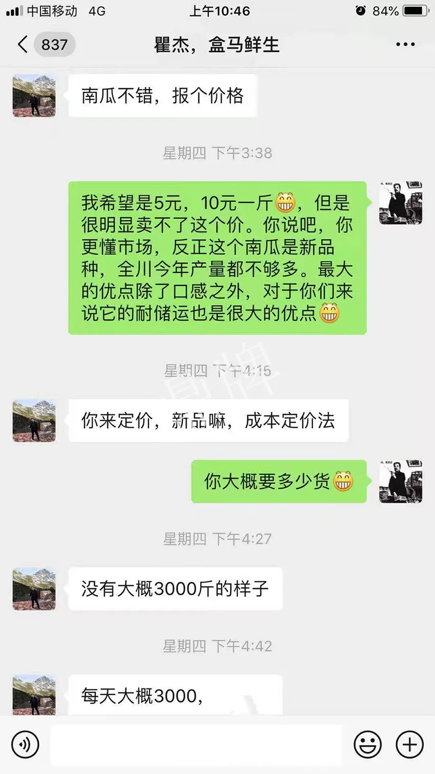 四川農(nóng)戶今年種“健美蜜本”南瓜產(chǎn)量高，品質(zhì)好，感覺巴適得很