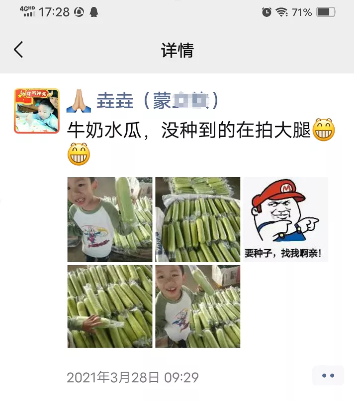 這個絲瓜每畝能掙3萬，沒種植的農(nóng)戶后悔得拍大腿